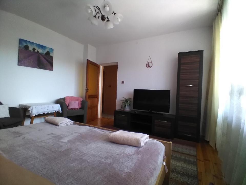 Przy Starej Lipie Apartman Augustów Kültér fotó